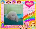�鿴�õ�