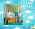 �鿴�õ�