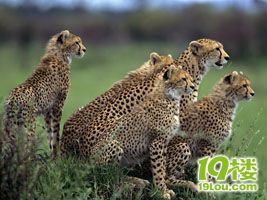 基金扫盲帖之四:哪些人群适合搞基金定投?-理