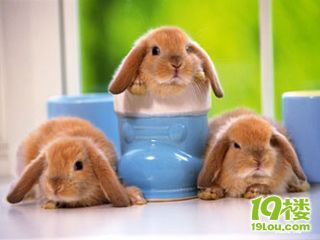 基金扫盲帖之四:哪些人群适合搞基金定投?-理