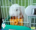 �鿴�õ�
