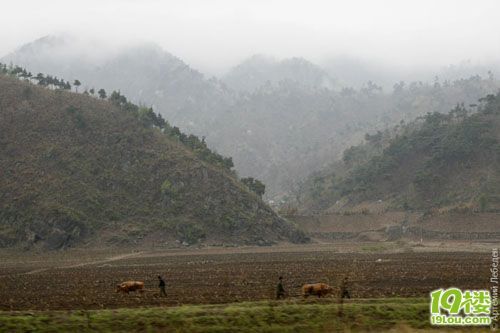太黑了 转贴都要 100JB 一个俄罗斯人镜头下的