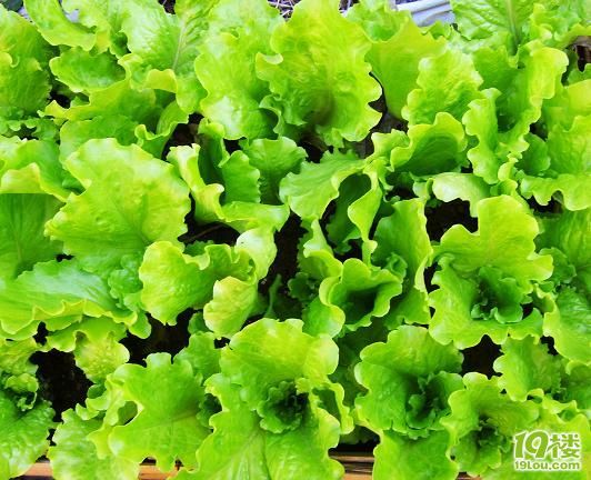 你们毒不死我!(13楼上了新PP)