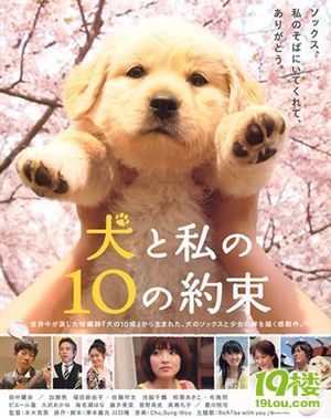 落泪推荐,狗狗与我的十个约定,超感人!!!-电影陪审团-杭州19楼