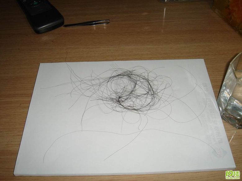 猜猜这里<em>有多少根头发</em>?顺便可以估计下自己掉