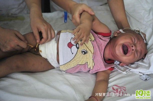 孩子爸妈<em>注意</em>了:三鹿换<em>马甲</em>了。-孩爸孩妈聊天