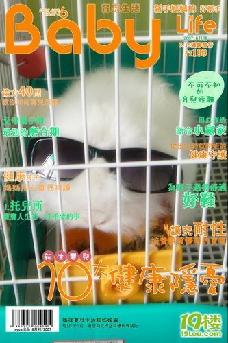 �鿴ԭͼ