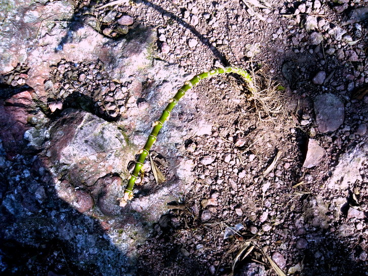 穿岩十九峰-第2页-拉风活动营-杭州19楼