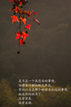 �鿴�õ�