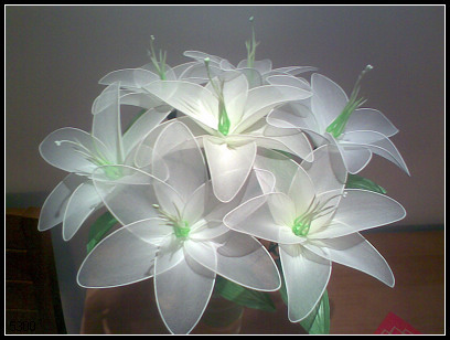 小i的手工课之晒晒过年做的丝网花第二季--百合-手工DIY-杭州19楼