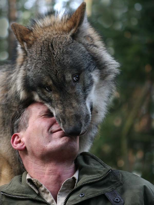 我最喜欢的歌曲 谁能翻译一下-音乐天堂-杭州1