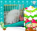 �鿴�õ�