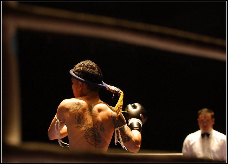 中国散打VS泰拳