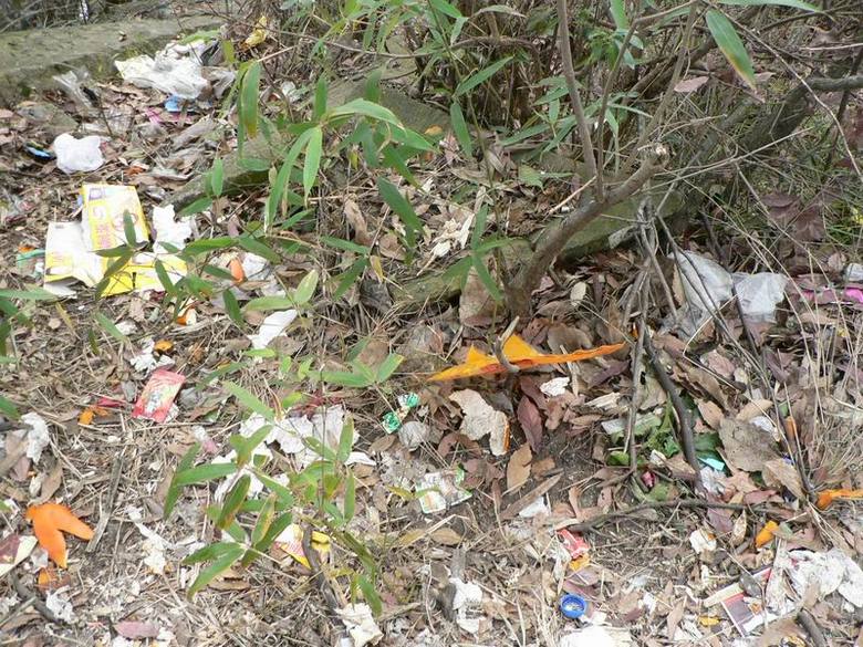 午潮亭周末垃圾大清理,前后有比照。-行行色色