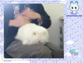�鿴�õ�