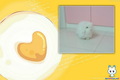 �鿴�õ�