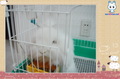 �鿴�õ�