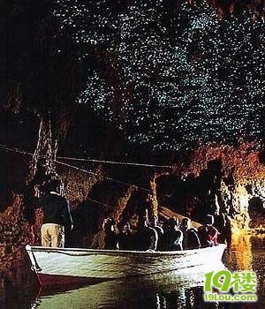 新西蘭十五日南北島魯冰花自駕游歸來(lái)！�。�(自駕游攻略篇）