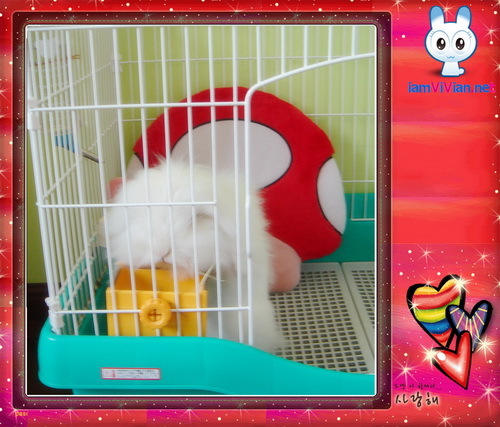 �鿴ԭͼ