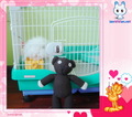 �鿴�õ�