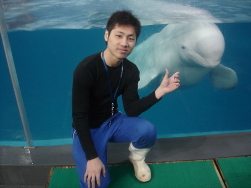 杭州萧山海洋馆海豚领航鲸驯养师工作照片1-我