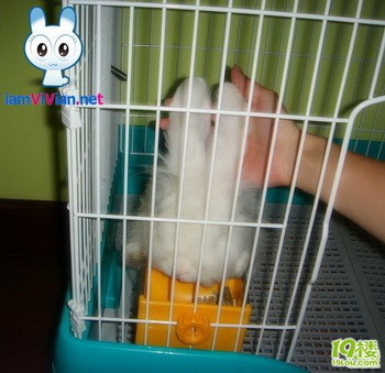 去香港的机票大概多少钱-杭州购物消费-杭州1