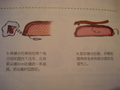 �鿴�õ�