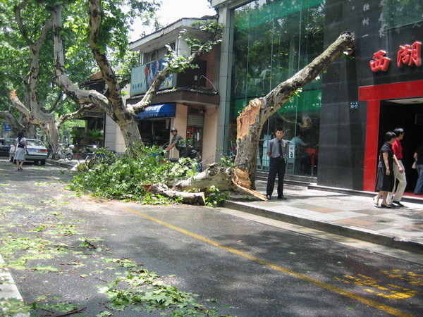 6月10日上午暴风雨后的西湖街景(P2有更新图
