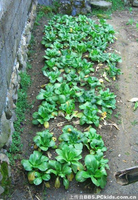 大明山住宿-住宿-大明山-杭州19楼