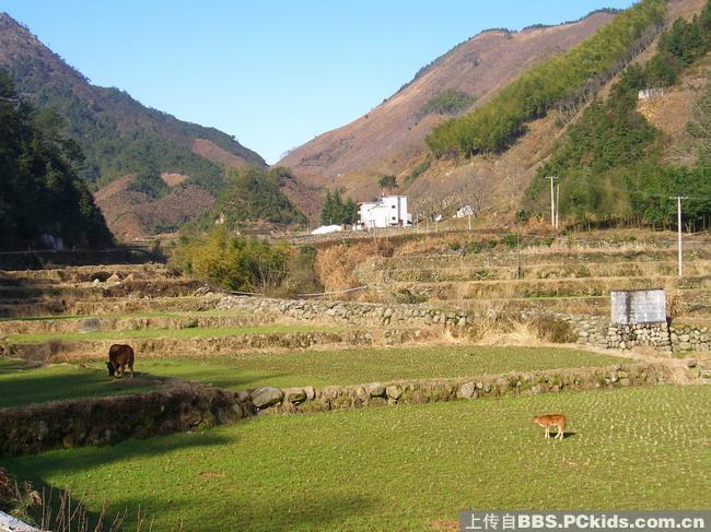 大明山住宿-住宿-大明山-杭州19楼