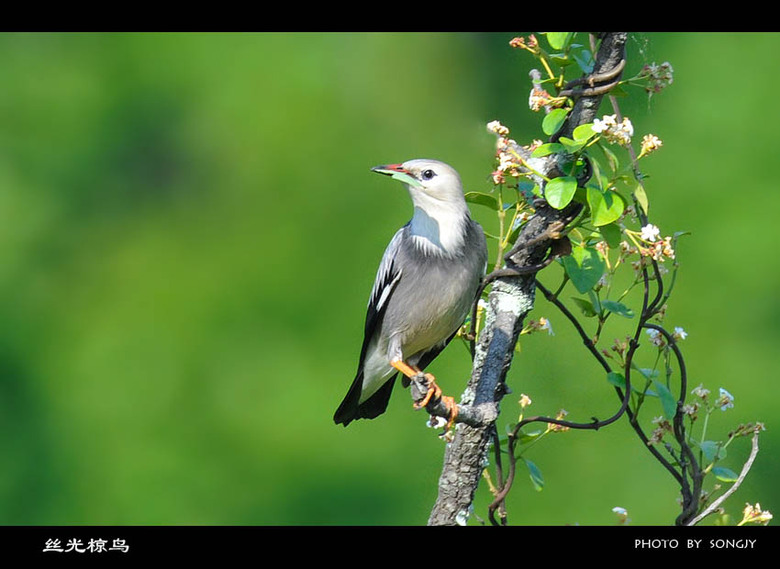 这组片子有点黄。《少儿不宜》-19摄区-杭州1