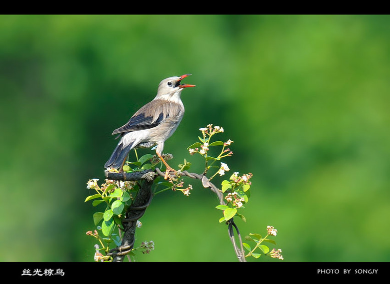 这组片子有点黄。《少儿不宜》-19摄区-杭州1