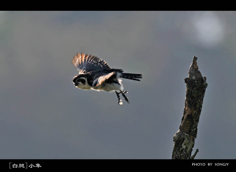 这组片子有点黄。《少儿不宜》-19摄区-杭州1