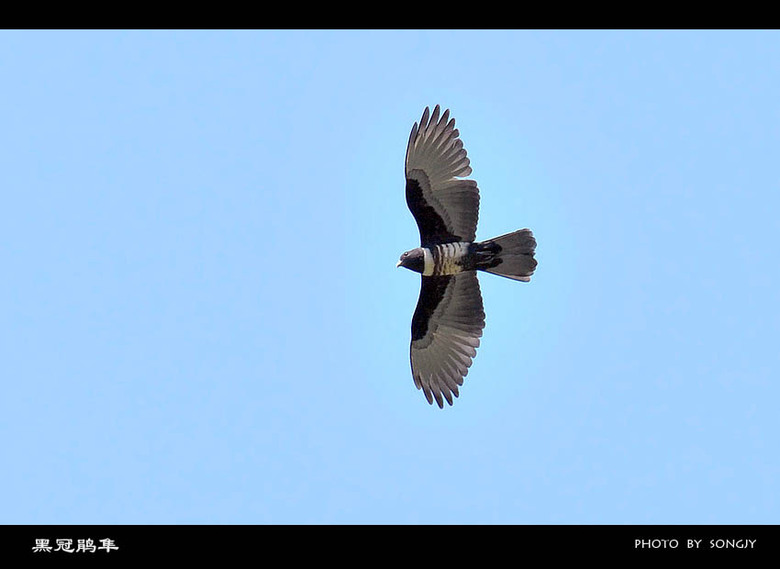 这组片子有点黄。《少儿不宜》-19摄区-杭州1