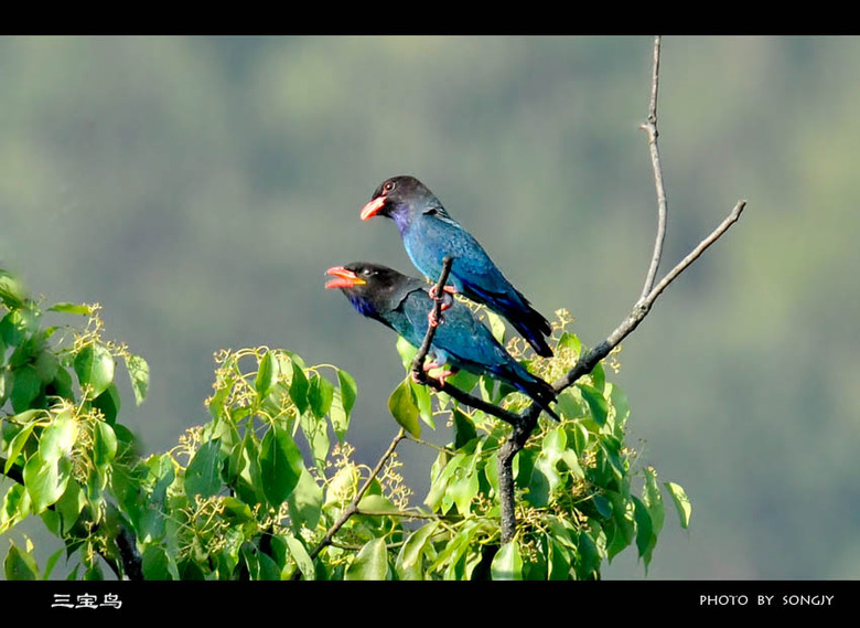 这组片子有点黄。《少儿不宜》-19摄区-杭州1