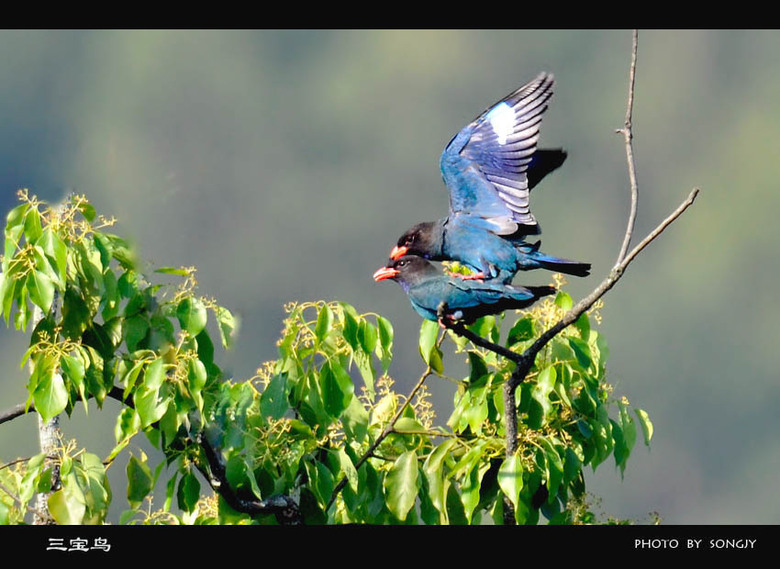 这组片子有点黄。《少儿不宜》-19摄区-杭州1
