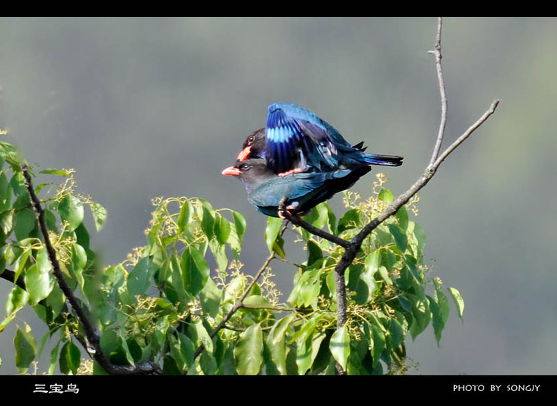 这组片子有点黄。《少儿不宜》-19摄区-杭州1