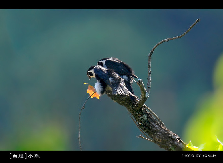 这组片子有点黄。《少儿不宜》-19摄区-杭州1