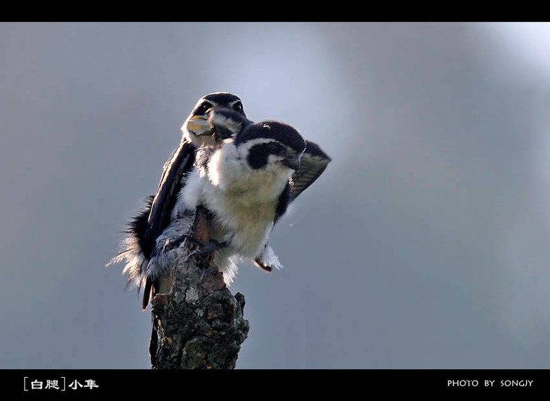这组片子有点黄。《少儿不宜》-19摄区-杭州1