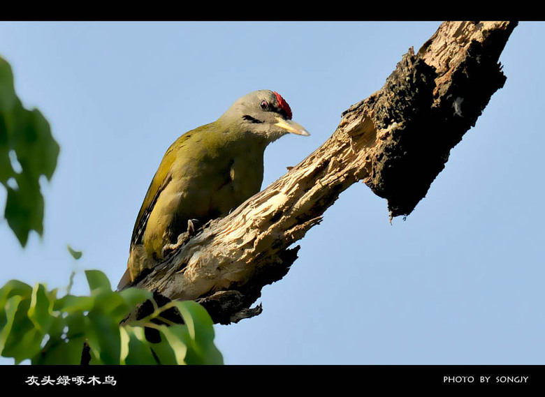 这组片子有点黄。《少儿不宜》-19摄区-杭州1