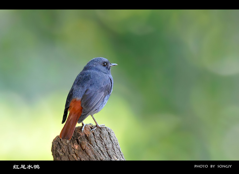 这组片子有点黄。《少儿不宜》-19摄区-杭州1