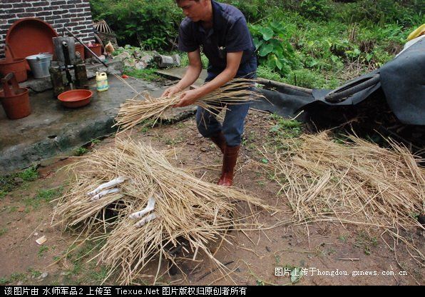 中华美食--杭州禾杆美食介绍-狗肉俱乐部-沛县美食响水县图片