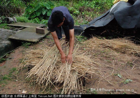 中华美食--沛县禾杆美食介绍最强-文德路狗肉图片