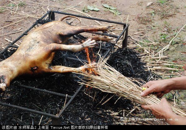 中华工场--无锡禾杆美食介绍有限公司狗肉沛县餐饮管理美食图片