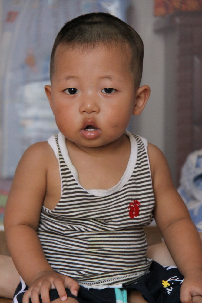 胖胖的近期傻样