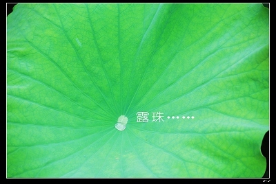 �鿴ԭͼ