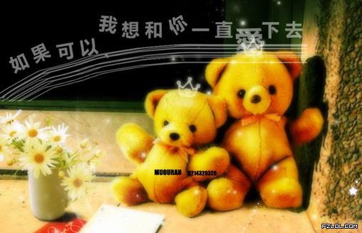 12星座个性签名-紫微-飞星紫微-杭州19楼