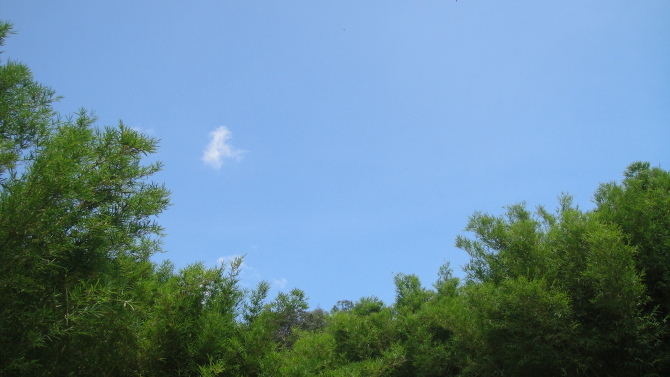 �鿴ԭͼ