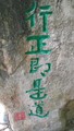 �鿴�õ�
