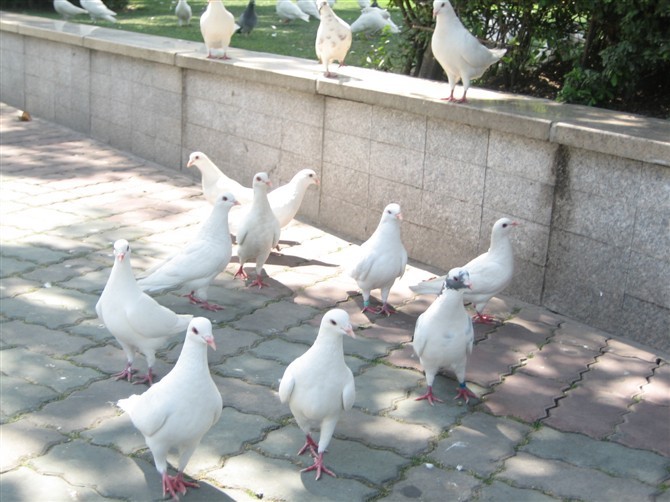 帮助孩子建立信心的途径-孩爸孩妈聊天室-杭州